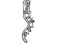 CVLZ0980.jpg