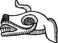 CVLZ0900.jpg