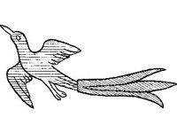 CVLZ0821.jpg
