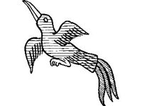 CVLZ0820.jpg