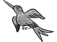 CVLZ0819.jpg
