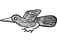 CVLZ0817.jpg