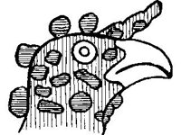 CVLZ0777.jpg