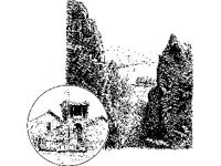 CVLZ2907.jpg