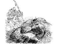 CVLZ2905.jpg