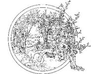CVLZ2884.jpg