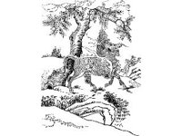CVLZ2731.jpg
