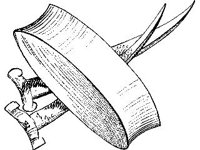 CVLZ1612.jpg
