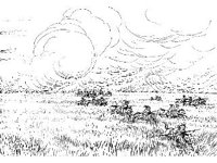 CVLZ1583.jpg