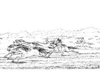 CVLZ1581.jpg