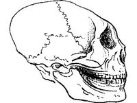 CVLZ1579.jpg