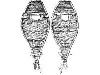 CVLZ1552.jpg