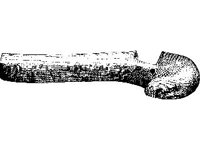 CVLZ1701.jpg