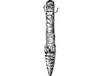 CVLZ1697.jpg