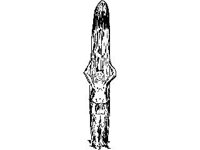 CVLZ3588.jpg
