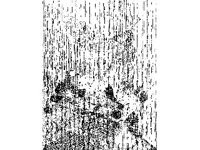 CVLZ2935.jpg