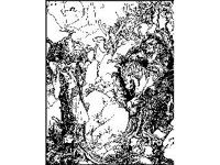 CVLZ2934.jpg