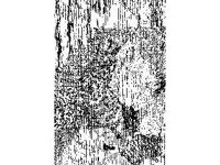 CVLZ2927.jpg