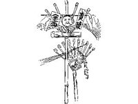 CVLZ3344.jpg