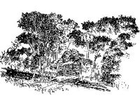 CVLZ3333.jpg