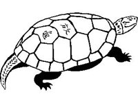CVLZ3330.jpg