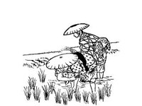 CVLZ3323.jpg