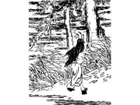 CVLZ3260.jpg