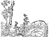 CVLZ3082.jpg
