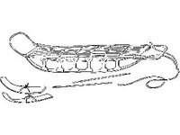 CVLZ3062.jpg