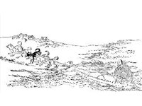 CVLZ3060.jpg