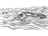 CVLZ3043.jpg