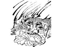 CVLZ3015.jpg