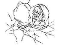 CVLZ3364.jpg