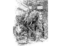 CVLZ3393.jpg