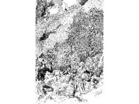 CVLZ3388.jpg