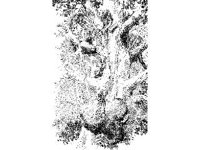 CVLZ3387.jpg