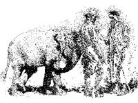 CVLZ3381.jpg