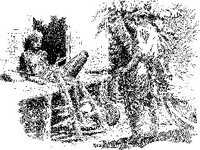 CVLZ3378.jpg