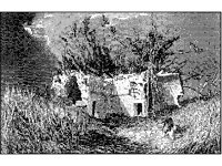 CVLZ1273.jpg