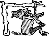 CVLZ1211.jpg