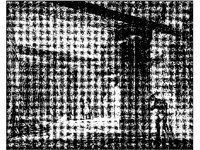CVLZ1182.jpg