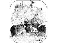CVLZ3534.jpg