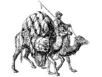 CVLZ3490.jpg