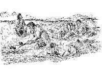 CVLZ1526.jpg