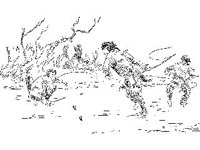 CVLZ1524.jpg