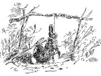 CVLZ1522.jpg