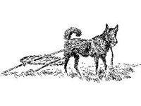 CVLZ1511.jpg