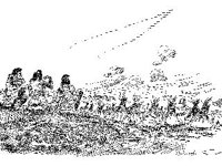 CVLZ1508.jpg