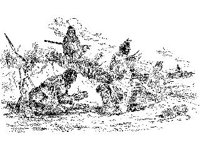 CVLZ1505.jpg