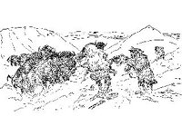 CVLZ1504.jpg